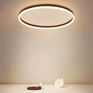 Black Finish Flush Mount Minimalist Ceiling Light Ring