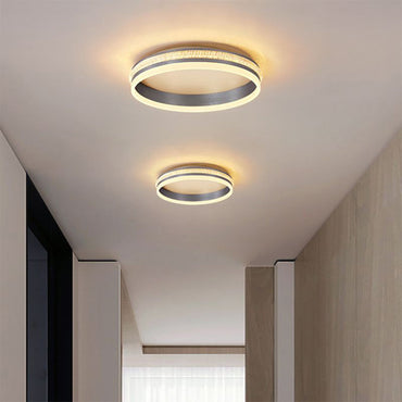 Silver Metal Round Contemporary Flush Mount Ceiling Light
