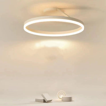 Black And White Premium Flush Mount Circle Ceiling Light Dimmable