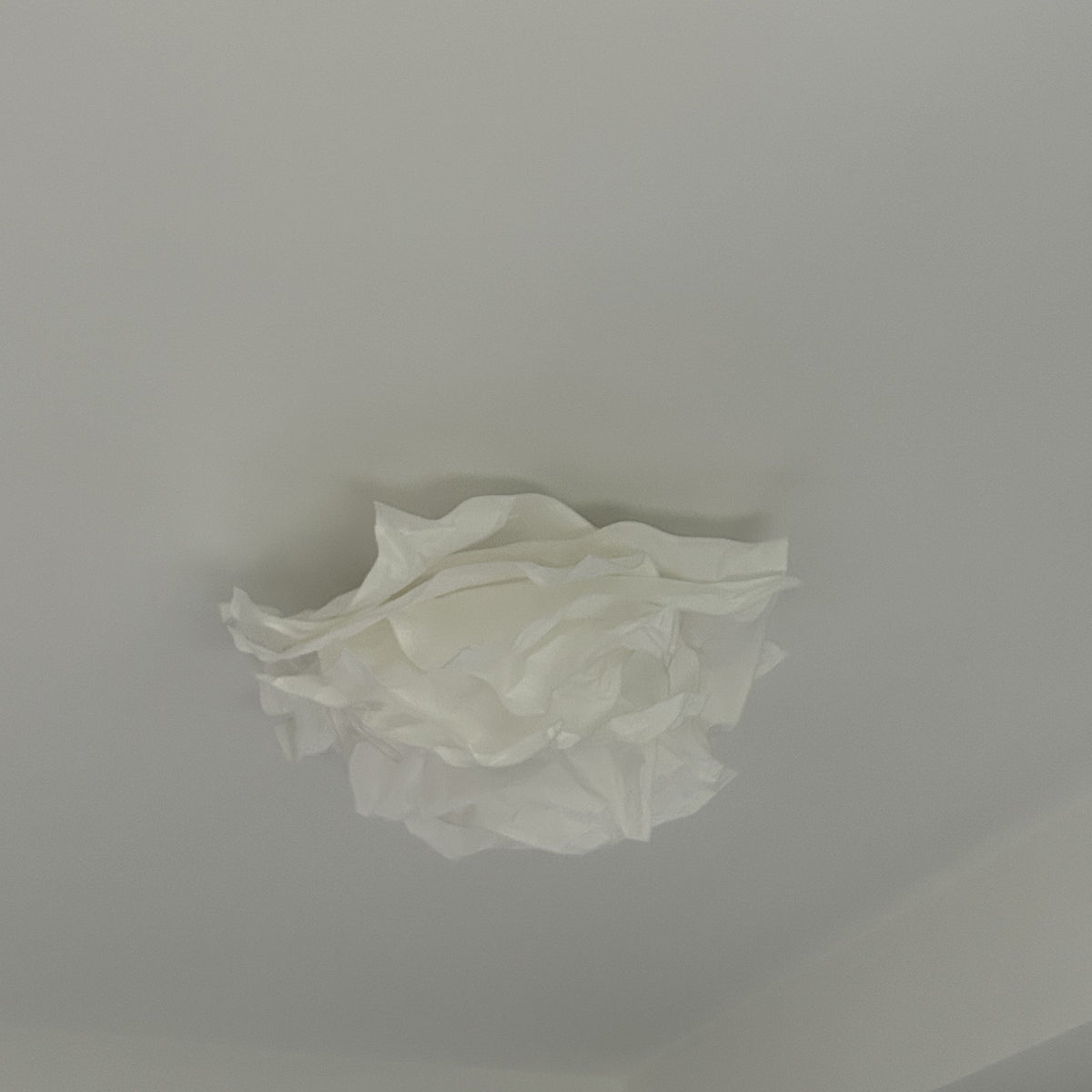 Flush Mount Floral Ceiling Paper Light For Bedroom And Study