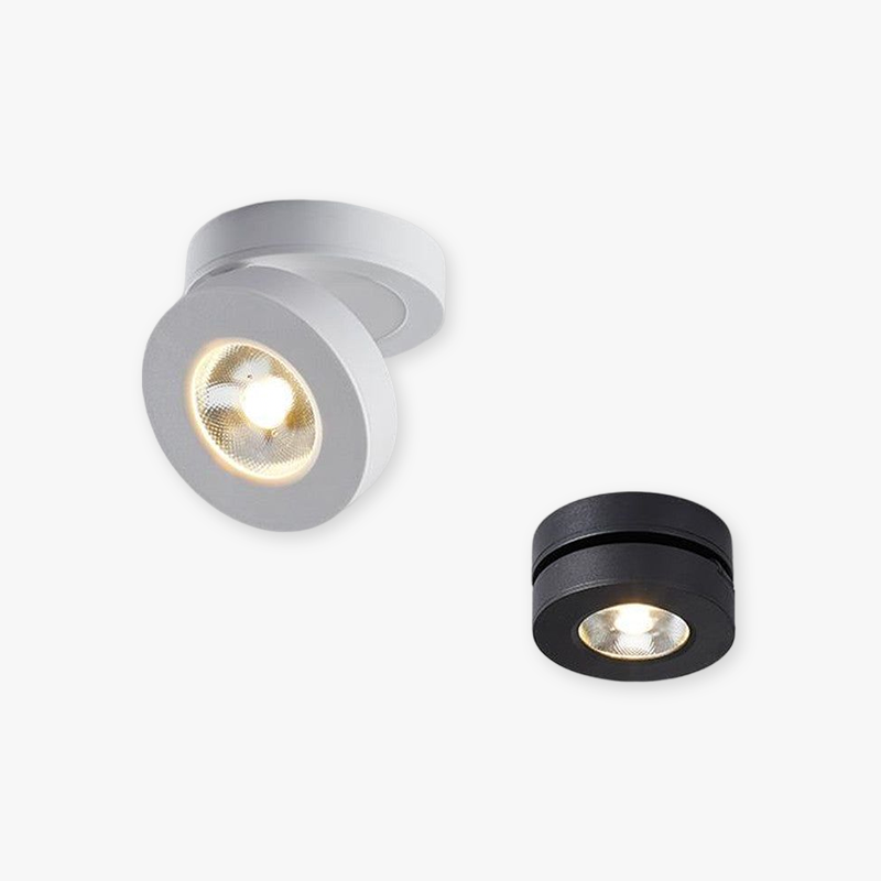 White And Black Aluminium Round Flush Mount Ceiling Light