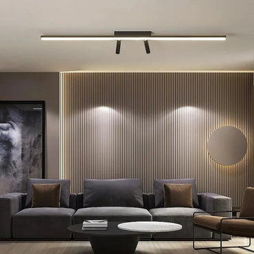 Adjustable Beams Dual Head Ceiling Spotlight