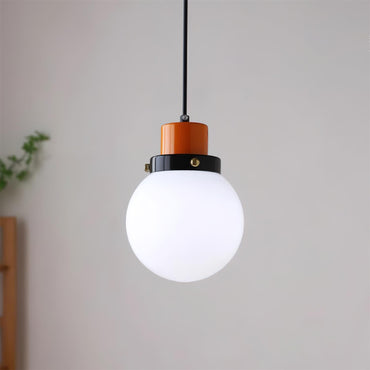 Dimmable Glass Globe Pendant Light