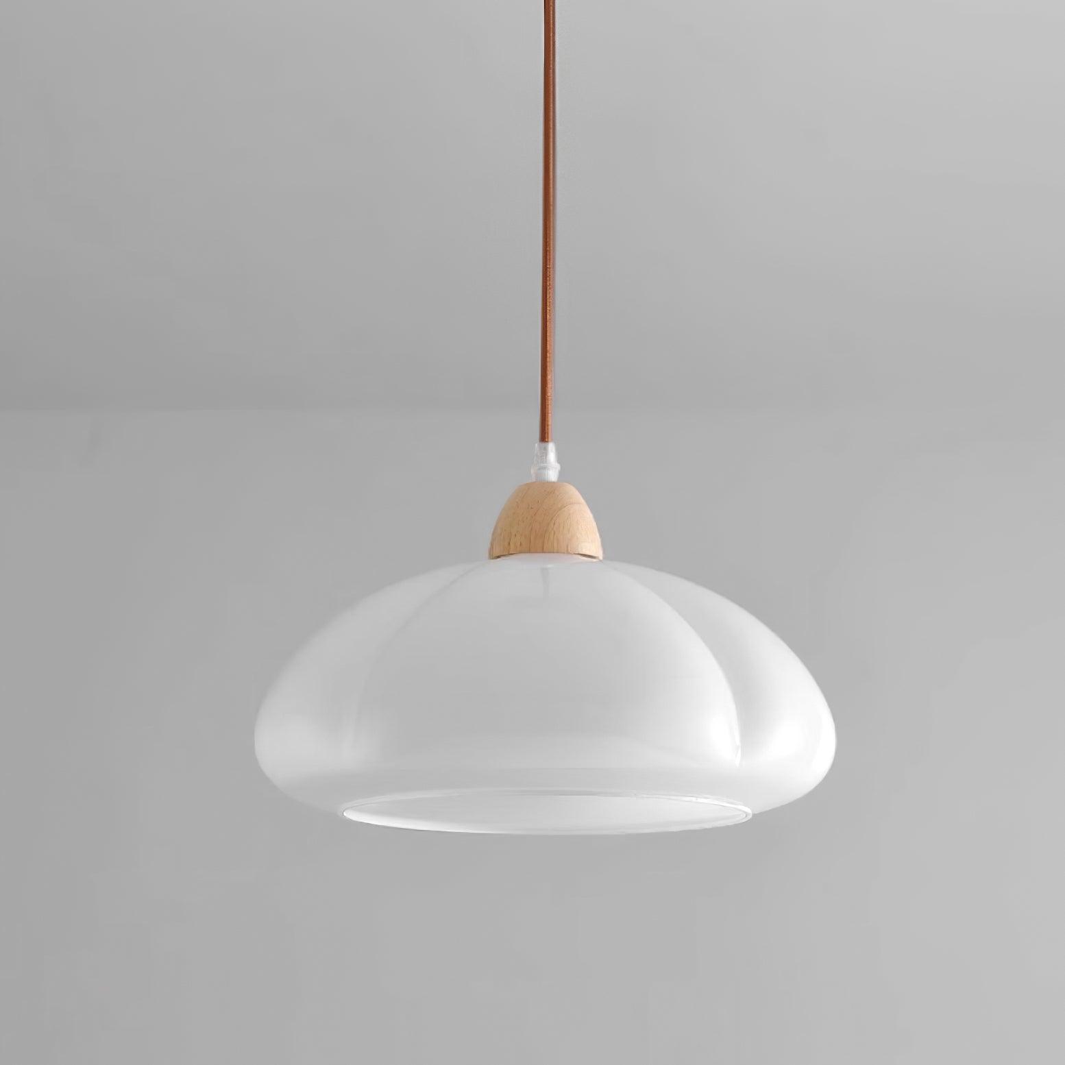 Modern Look Wood Accent Round Glass Shade Pendant Lamp