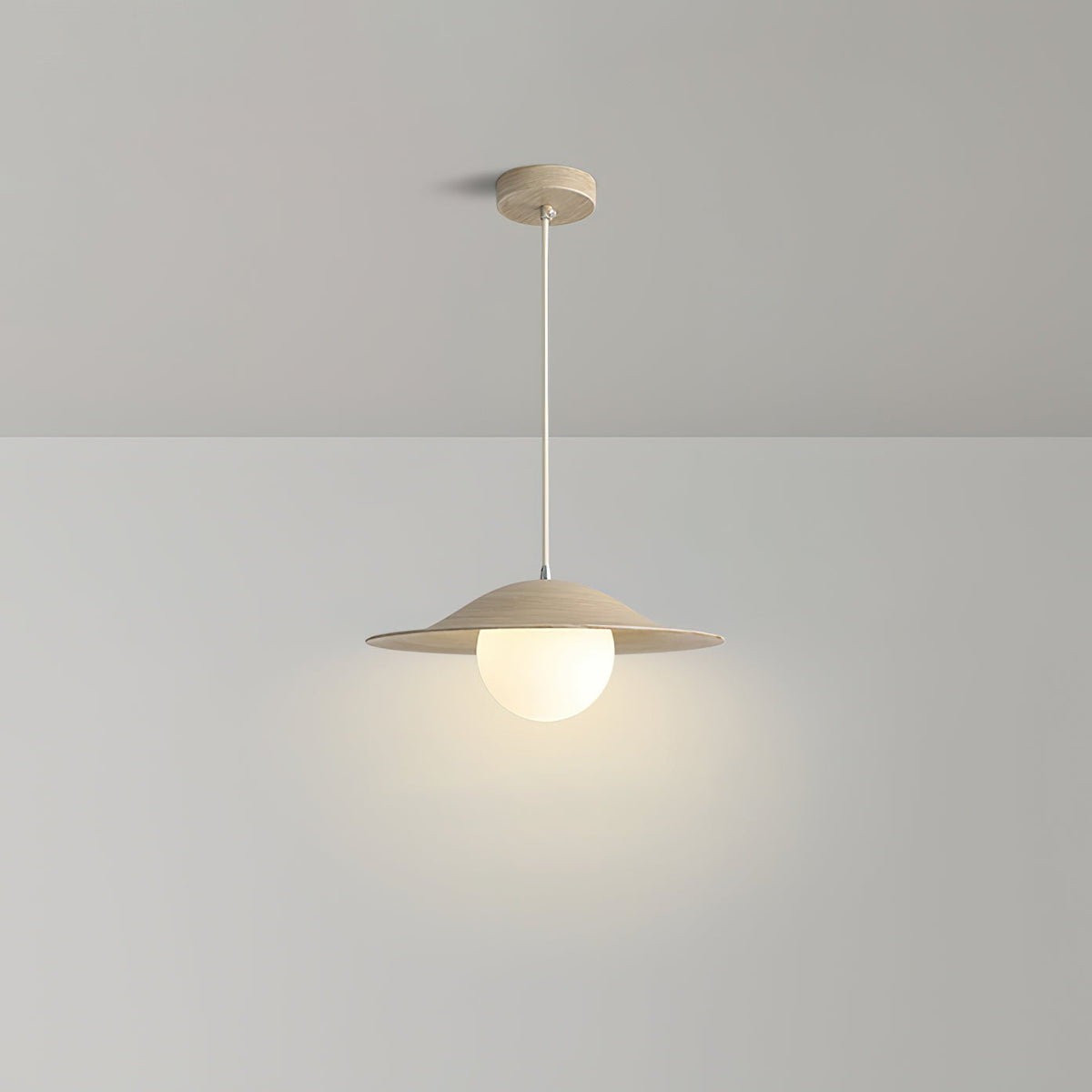 Glass Shade Metal Pendant Light For Warm Ambience