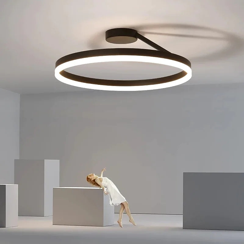 Black And White Premium Flush Mount Circle Ceiling Light Dimmable