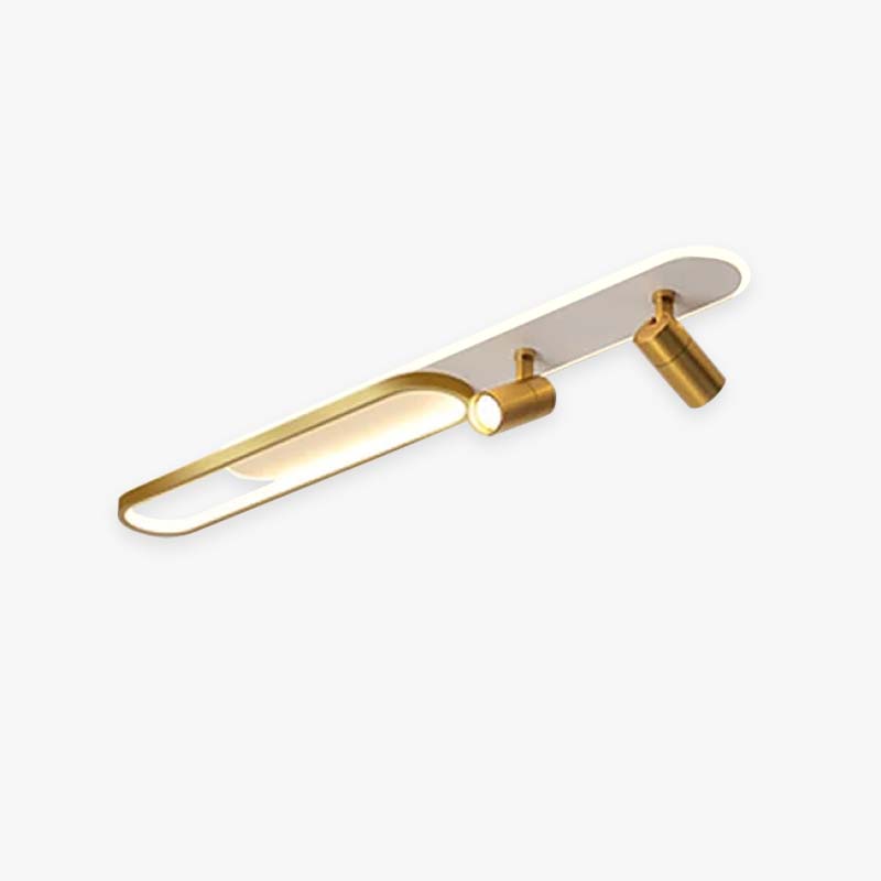 Black And Gold Finish Contemporary Ceiling Spotlight