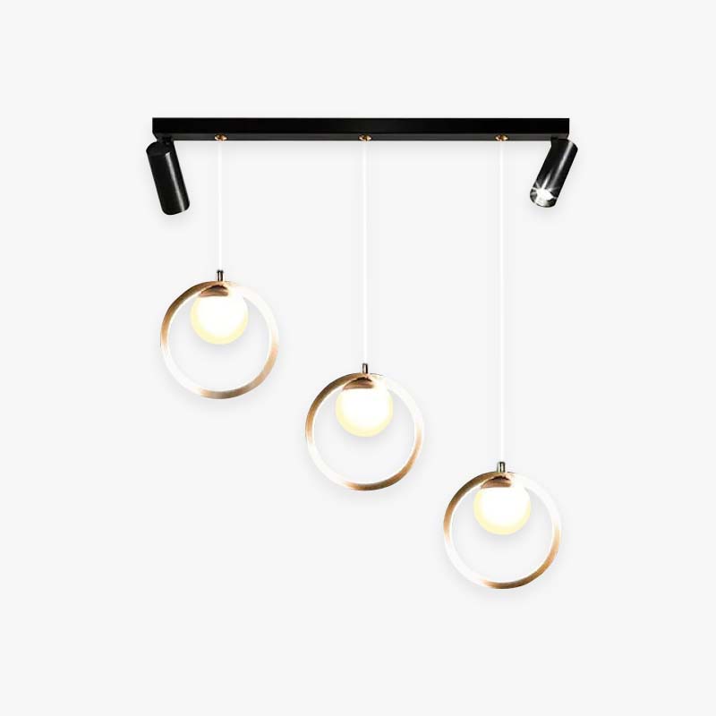 Pendant Light Ring Metal Modern With Spotlight