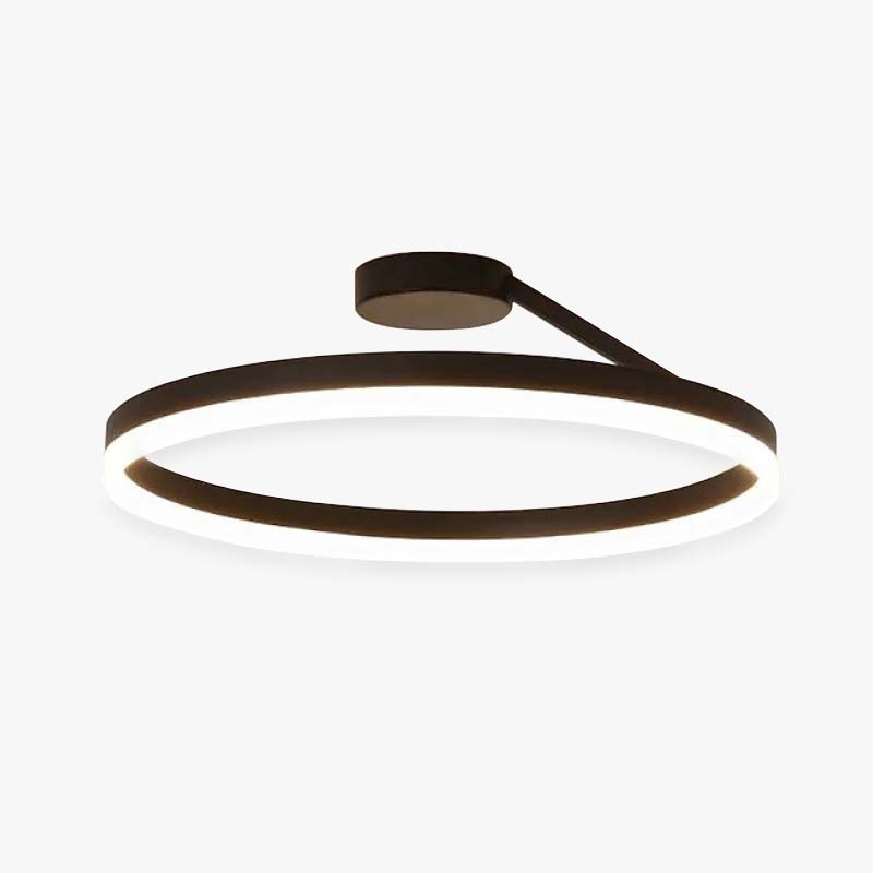 Black And White Premium Flush Mount Circle Ceiling Light Dimmable