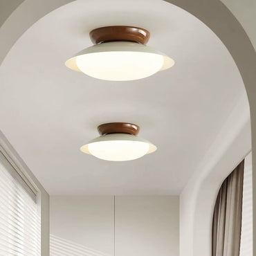 Earthy Green And Brown Finish Bowl Shaped Ceiling Light