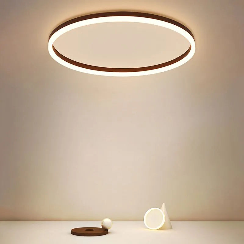 Black Finish Flush Mount Minimalist Ceiling Light Ring