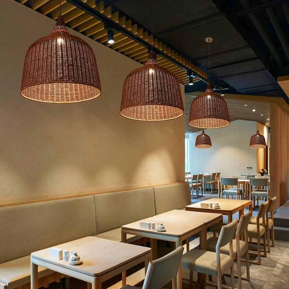 Cozy Ambient Lighting Two Color Pendant Light