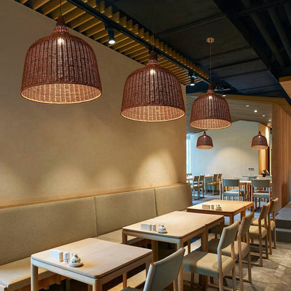 Cozy Ambient Lighting Two Color Pendant Light