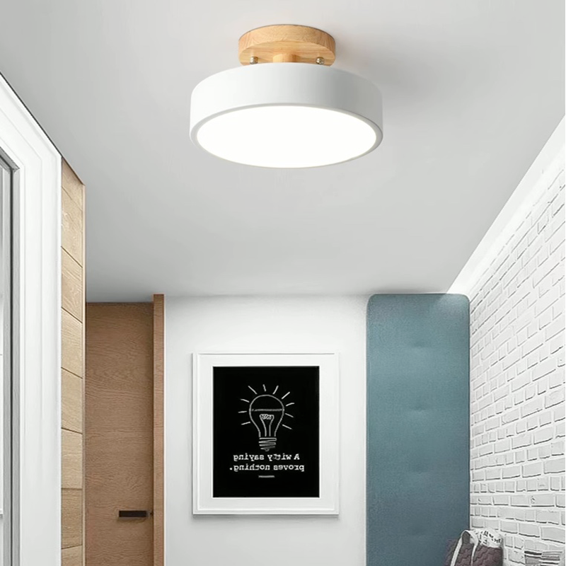 Ceiling Light With 3 Colour Temperatures Round LED Flush Mount