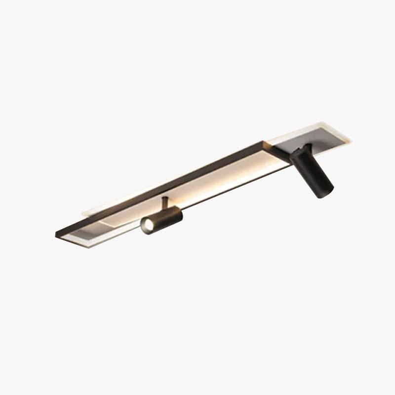 Matte Black Double Panel Adjustable Ceiling Spotlight