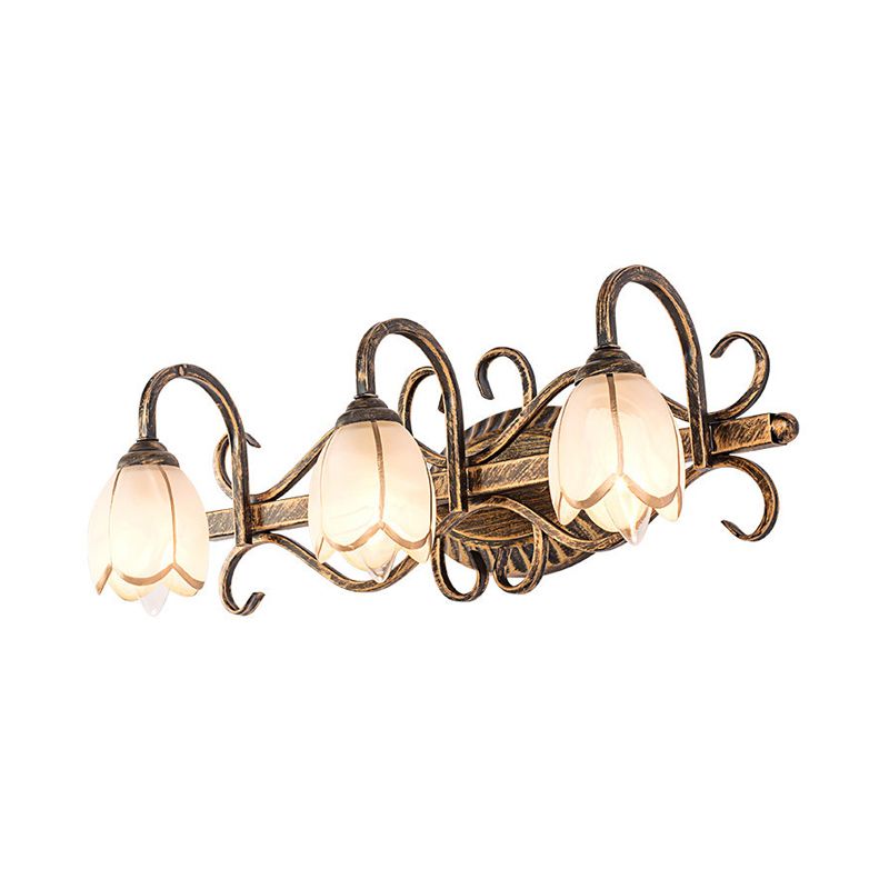 Floral Mirror Front Vanity Wall Light Antique Brass