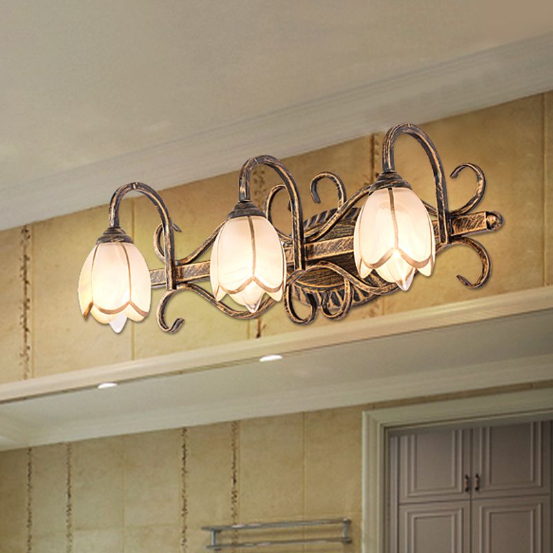 Floral Mirror Front Vanity Wall Light Antique Brass