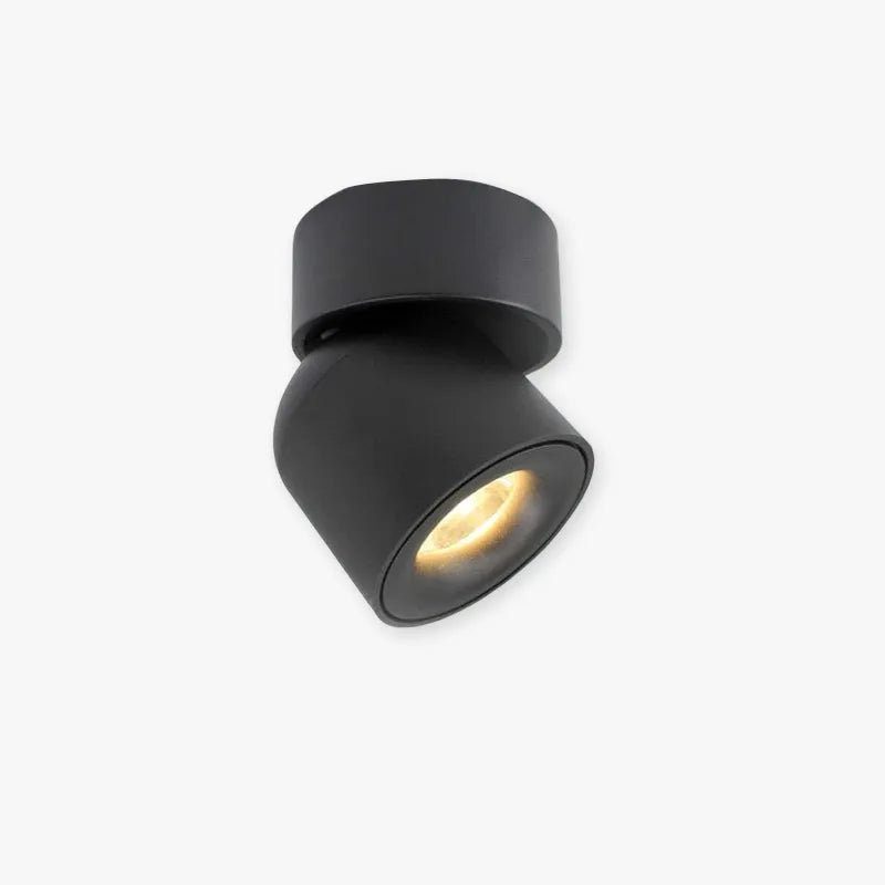 Modern LED Flush Mount Ceiling Light Black White AuroraEdge