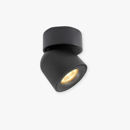 Modern LED Flush Mount Ceiling Light Black White AuroraEdge