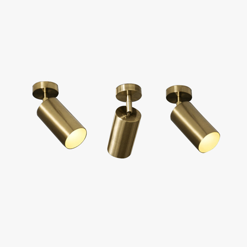 Metal Finish Flush Mount Ceiling Light Gold Cylinder Spotlight