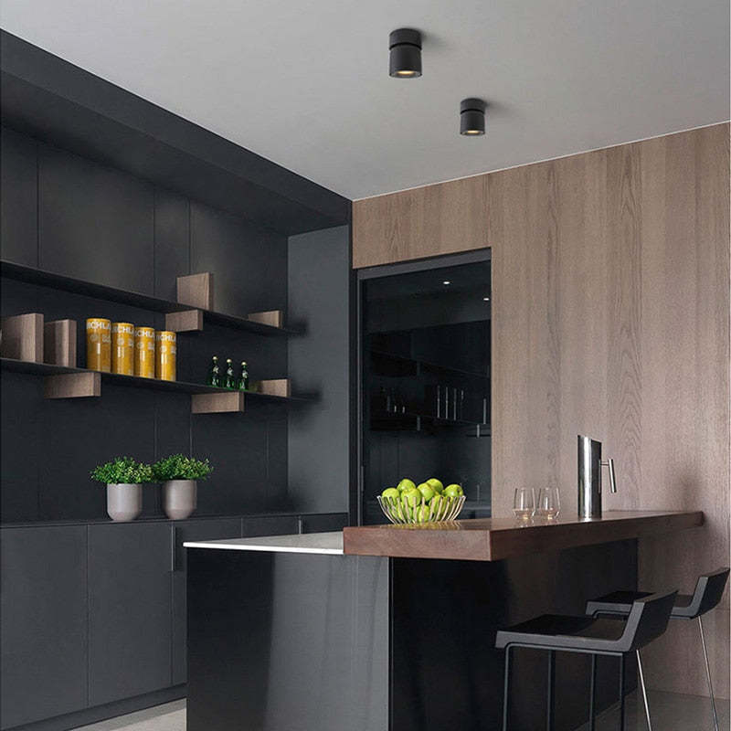 Modern LED Flush Mount Ceiling Light Black White AuroraEdge