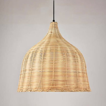 Cozy Ambient Lighting Two Color Pendant Light