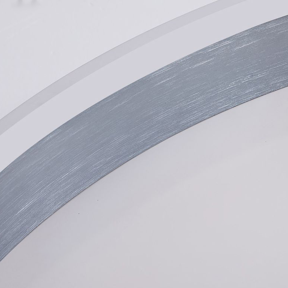 Silver Metal Round Contemporary Flush Mount Ceiling Light