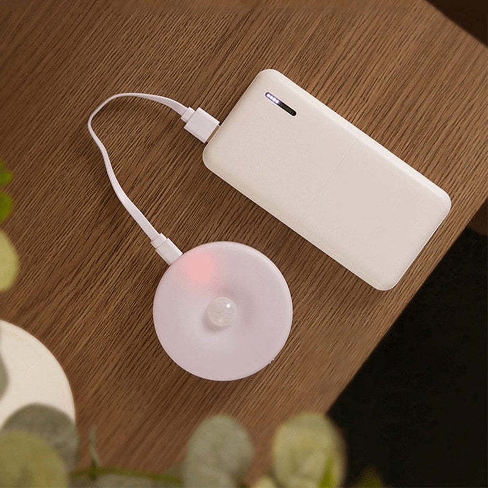 USB Power Indoor Wall Light With Magnetic Sensor