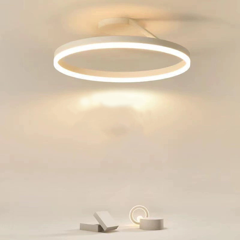 Black And White Premium Flush Mount Circle Ceiling Light Dimmable