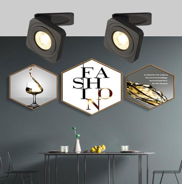 Black And White Adjustable Heads Square Ceiling Spotlight
