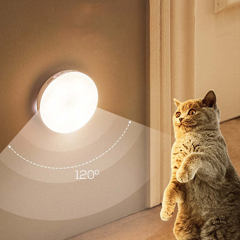 USB Power Indoor Wall Light With Magnetic Sensor