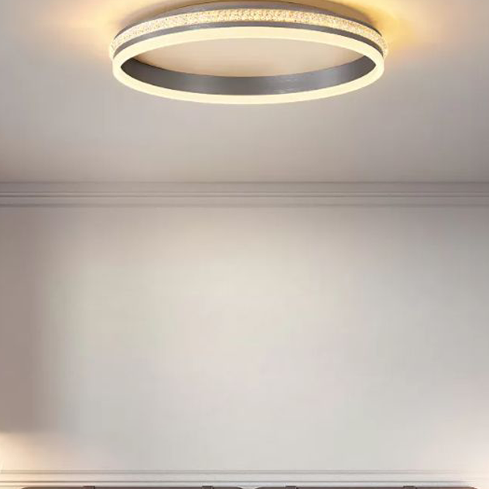 Silver Metal Round Contemporary Flush Mount Ceiling Light
