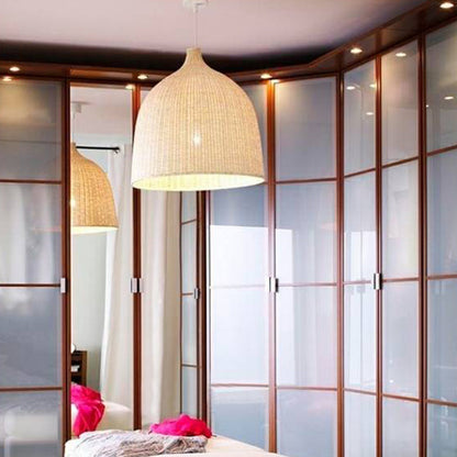 Cozy Ambient Lighting Two Color Pendant Light