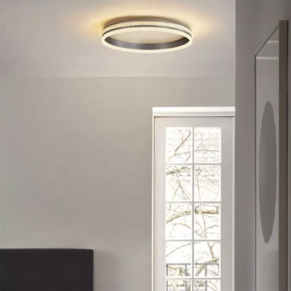 Silver Metal Round Contemporary Flush Mount Ceiling Light