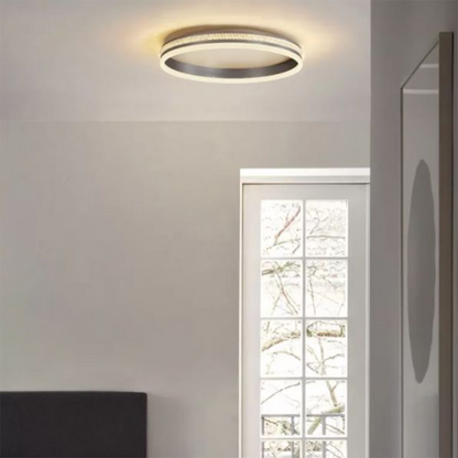 Silver Metal Round Contemporary Flush Mount Ceiling Light