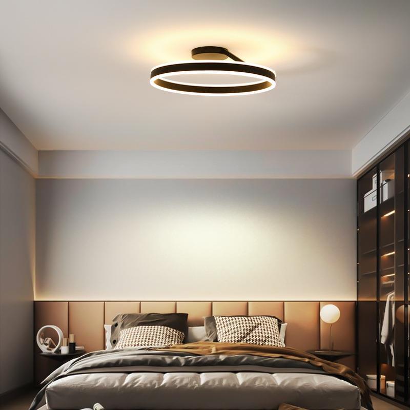 Black And White Premium Flush Mount Circle Ceiling Light Dimmable