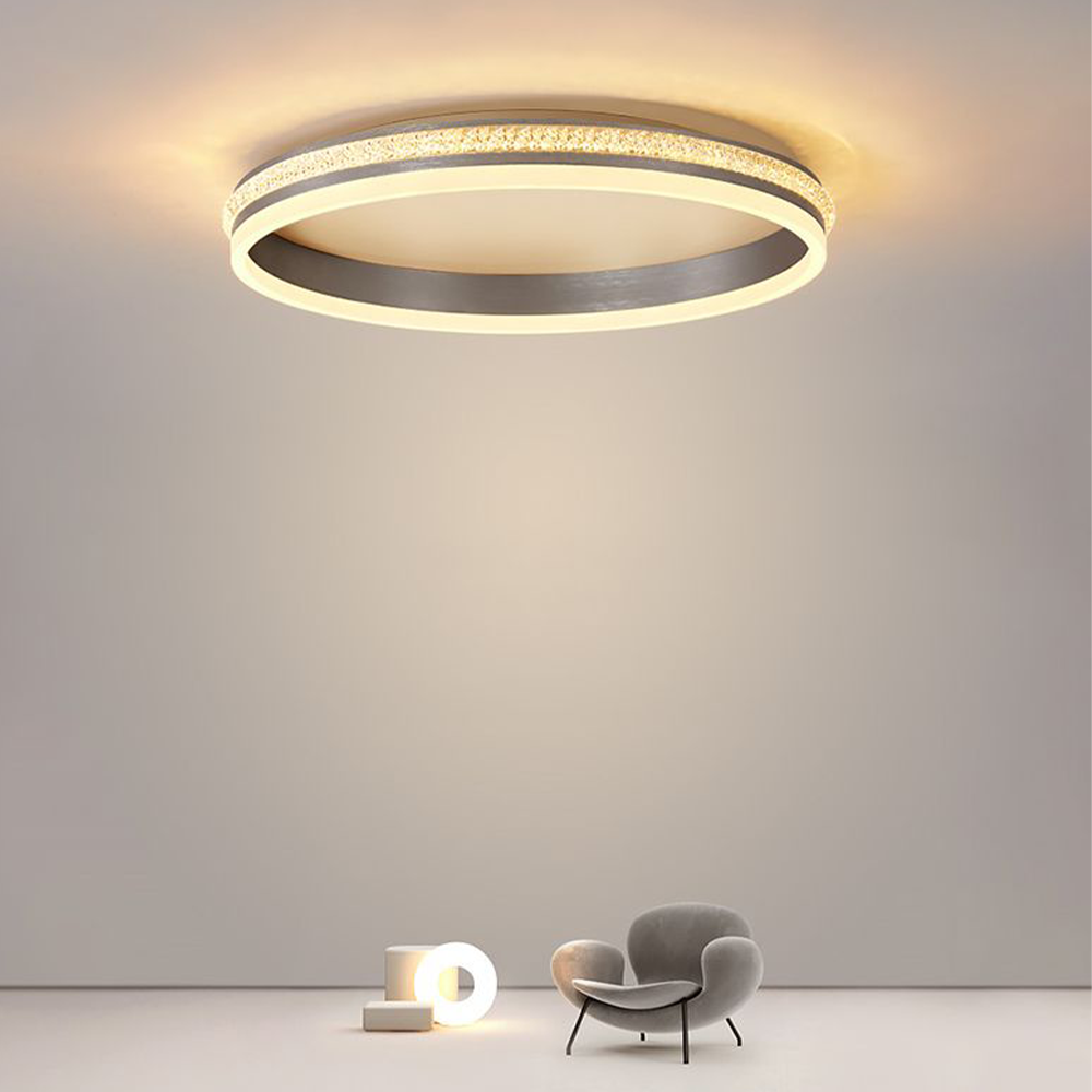 Silver Metal Round Contemporary Flush Mount Ceiling Light