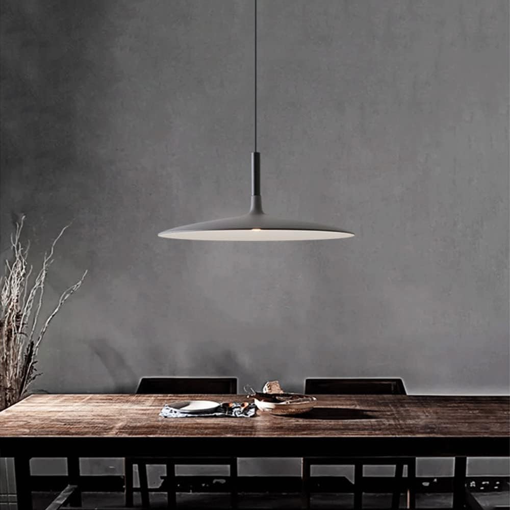 Pendant Light With Warm Ambience Plate Shape
