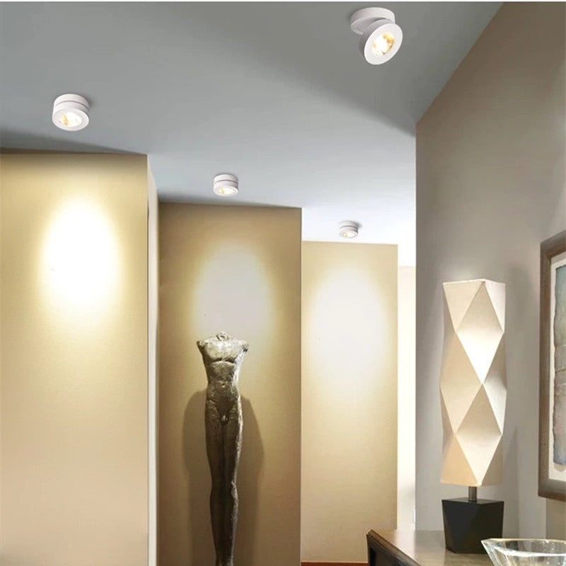 White And Black Aluminium Round Flush Mount Ceiling Light
