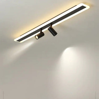 Minimalist Matte Black Double Linear Ceiling Spotlight