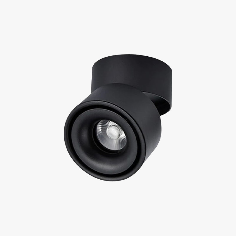 Adjustable Head Ceiling Spotlight Circular Flush Mount