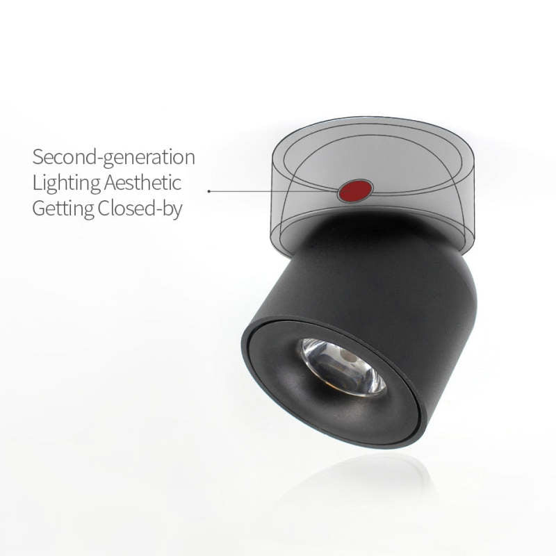 Modern LED Flush Mount Ceiling Light Black White AuroraEdge