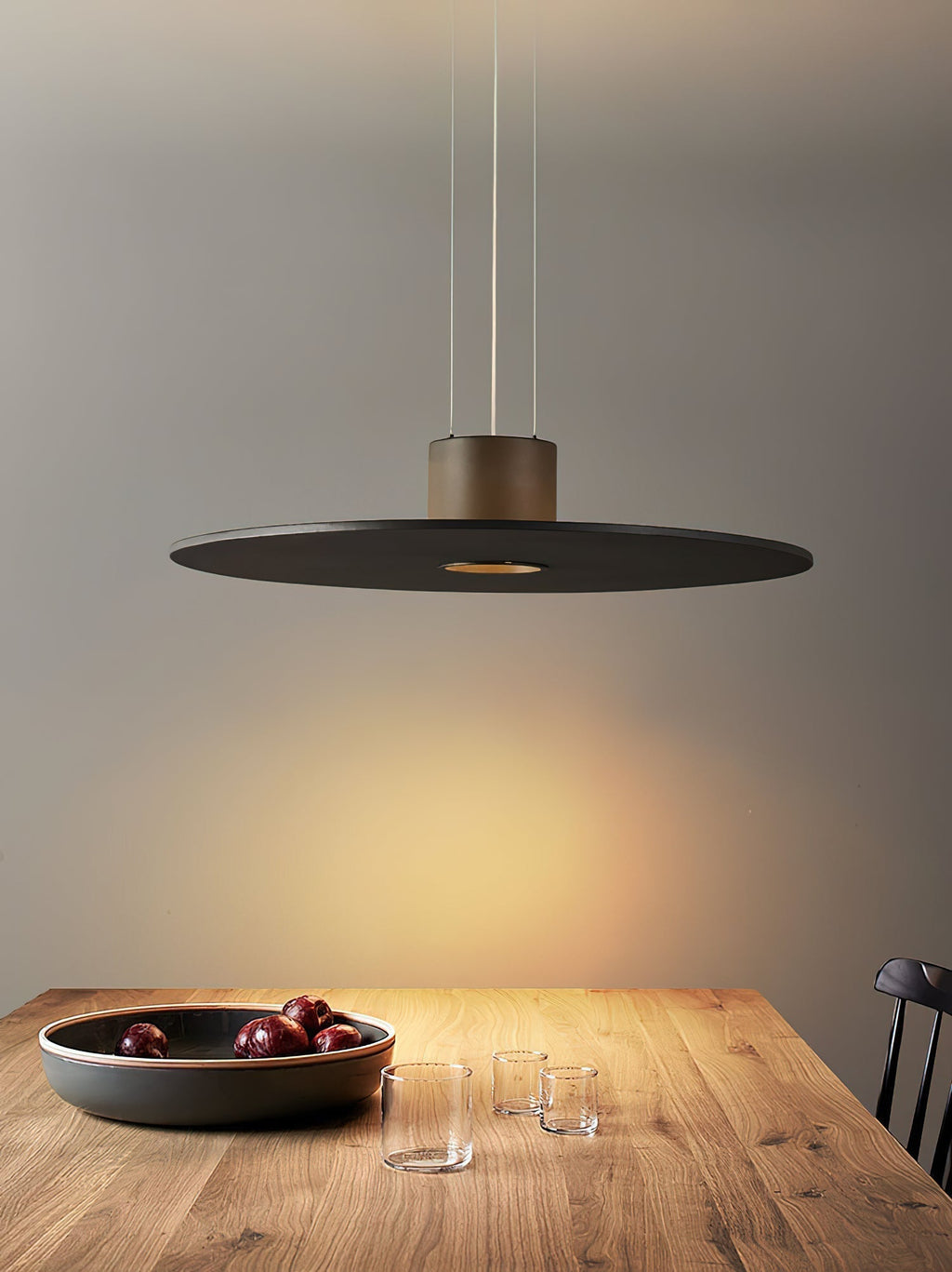 Modern Premium Pendant Lamp Black With Integrated LED