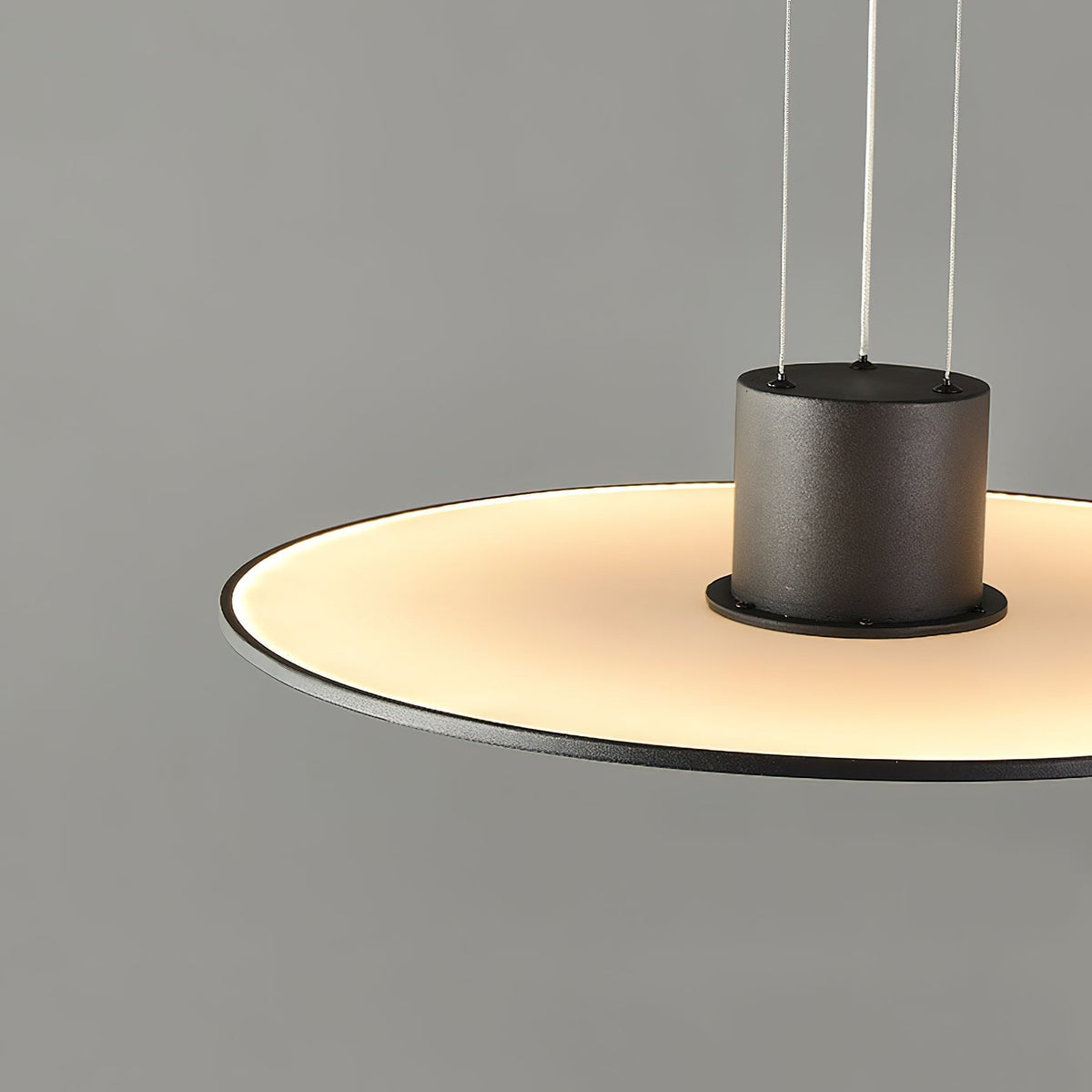 Modern Premium Pendant Lamp Black With Integrated LED