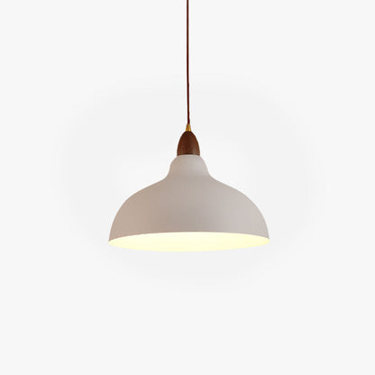Pendant Light Modern Metal Bowl For Premium Ambience