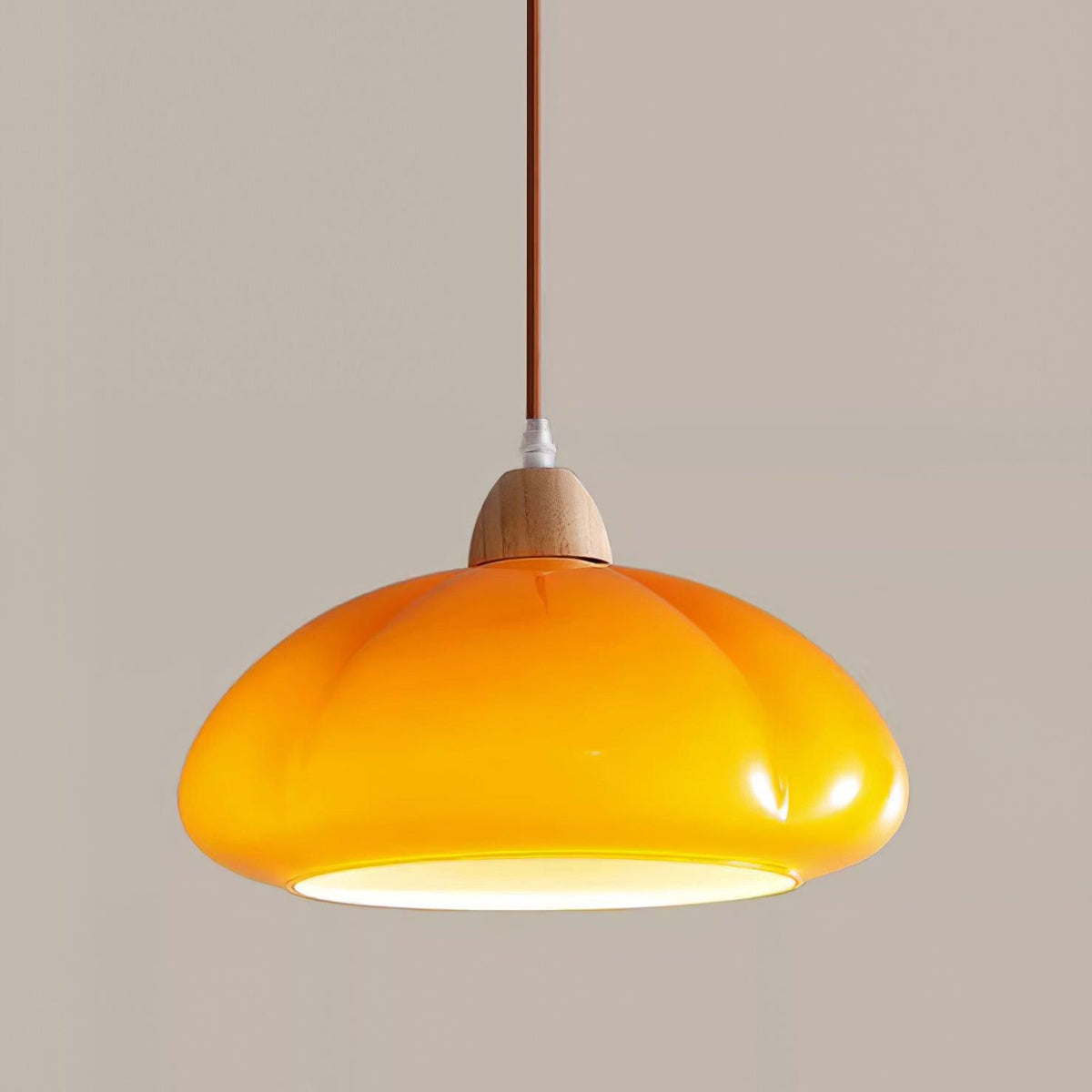 Modern Look Wood Accent Round Glass Shade Pendant Lamp