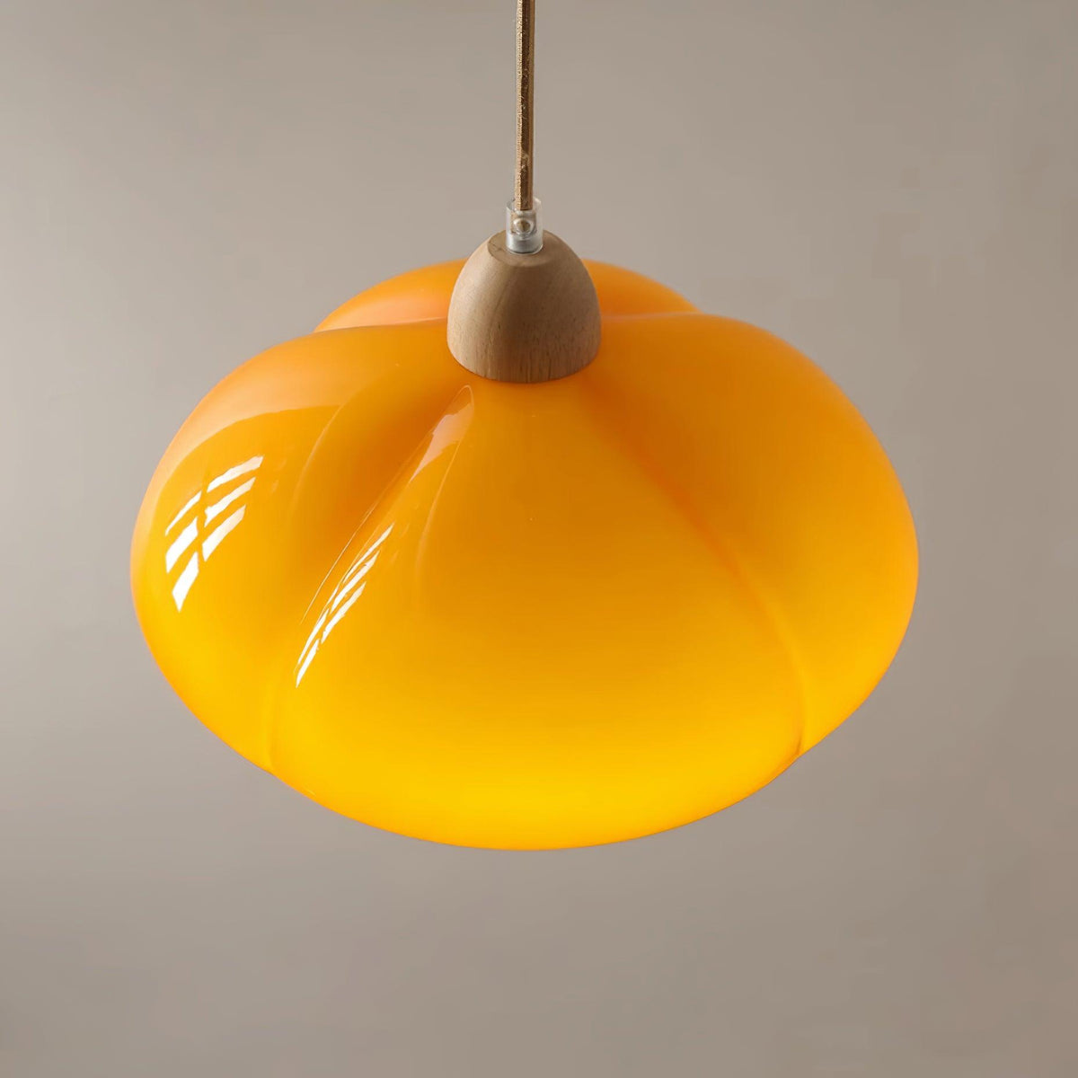 Modern Look Wood Accent Round Glass Shade Pendant Lamp