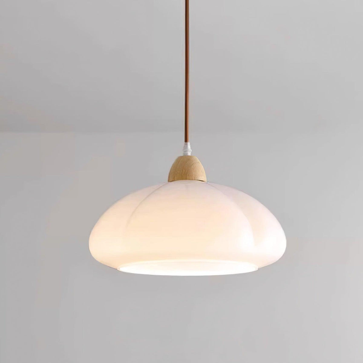 Modern Look Wood Accent Round Glass Shade Pendant Lamp