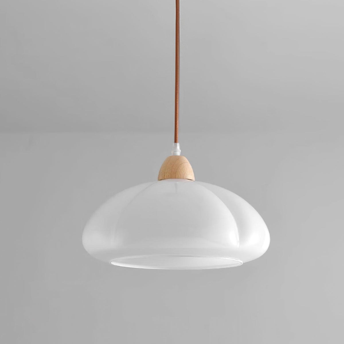 Modern Look Wood Accent Round Glass Shade Pendant Lamp
