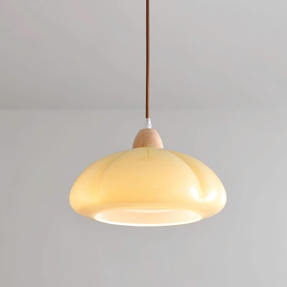 Modern Look Wood Accent Round Glass Shade Pendant Lamp